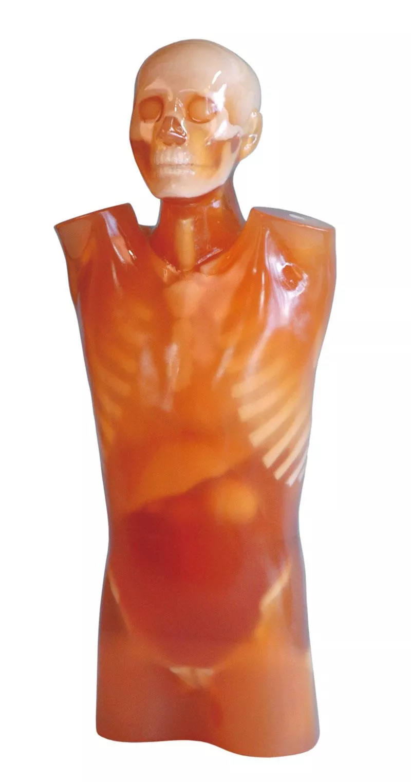 CT Torso Phantom