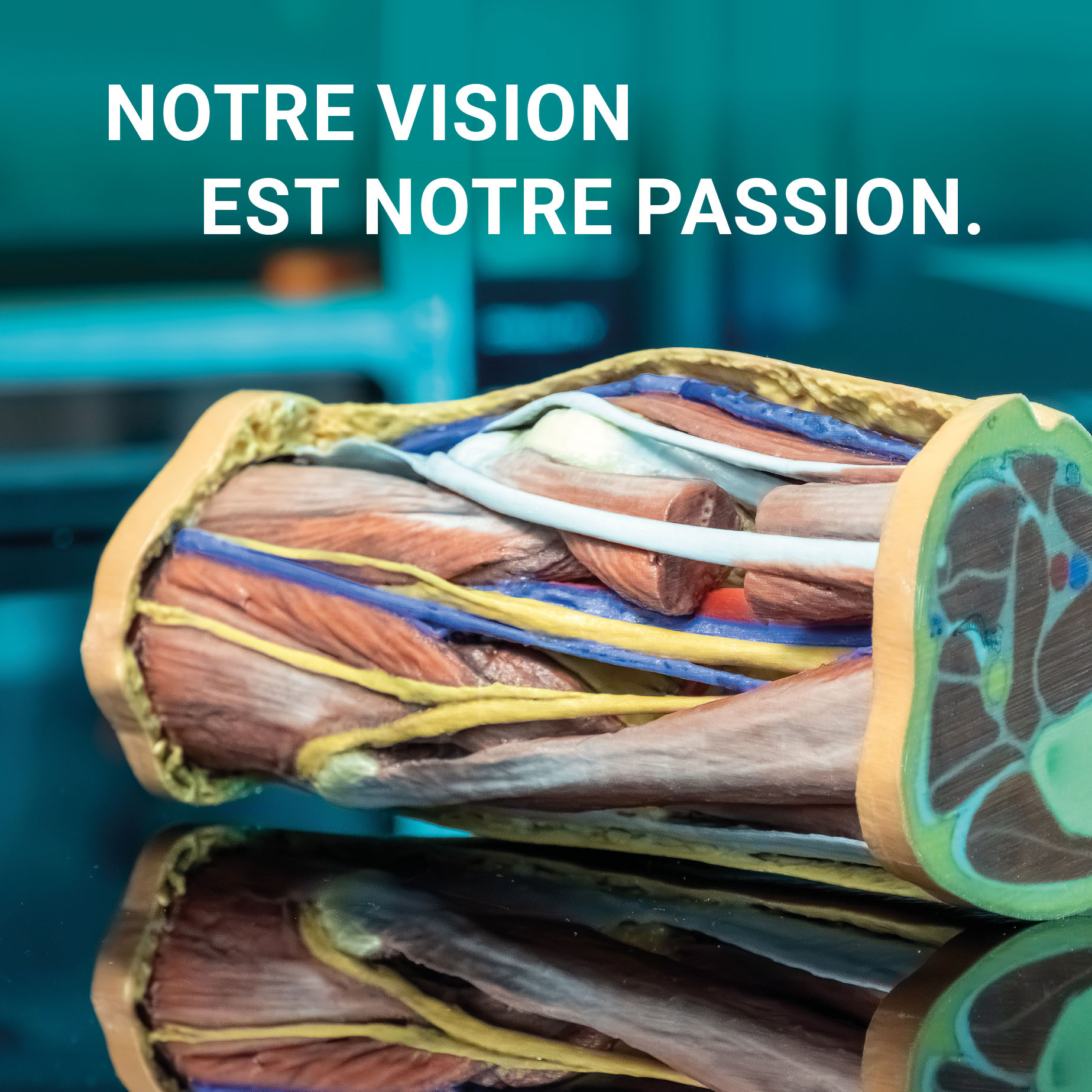 notre vision est notre passion mobile