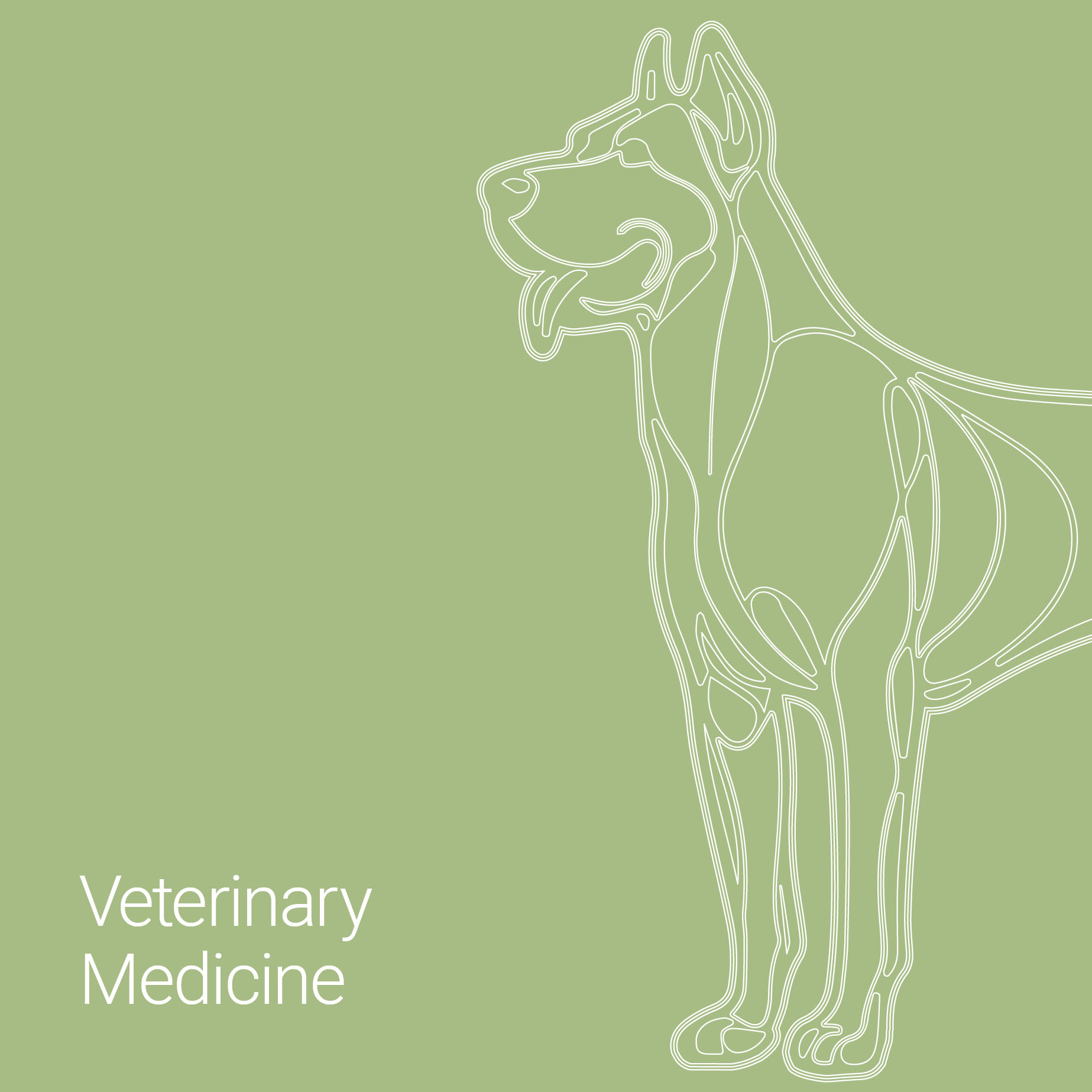 veterinary medicine - product catalogue