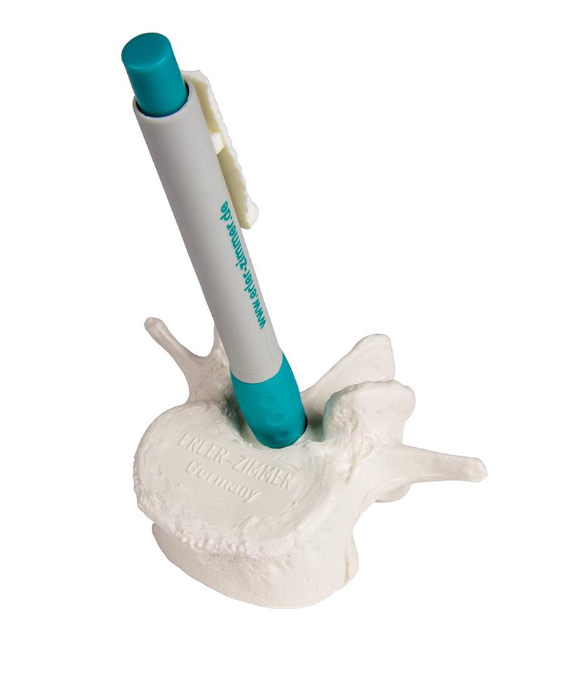 Vertebra Pen Holder with pen