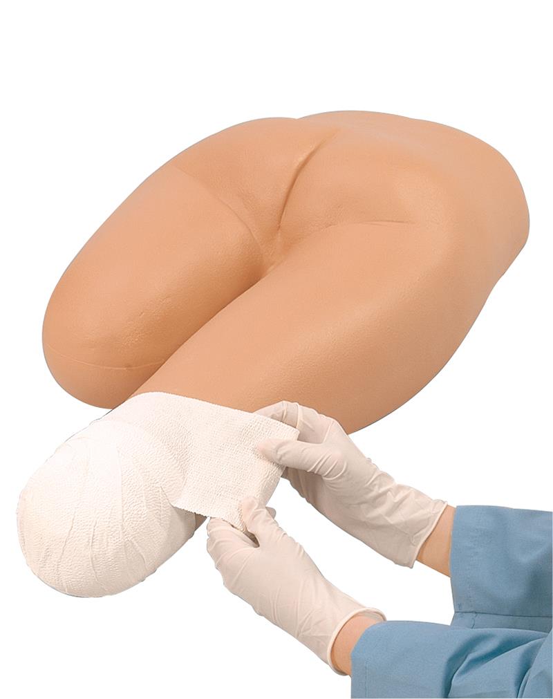 Mannequin de bandage des moignons inférieurs