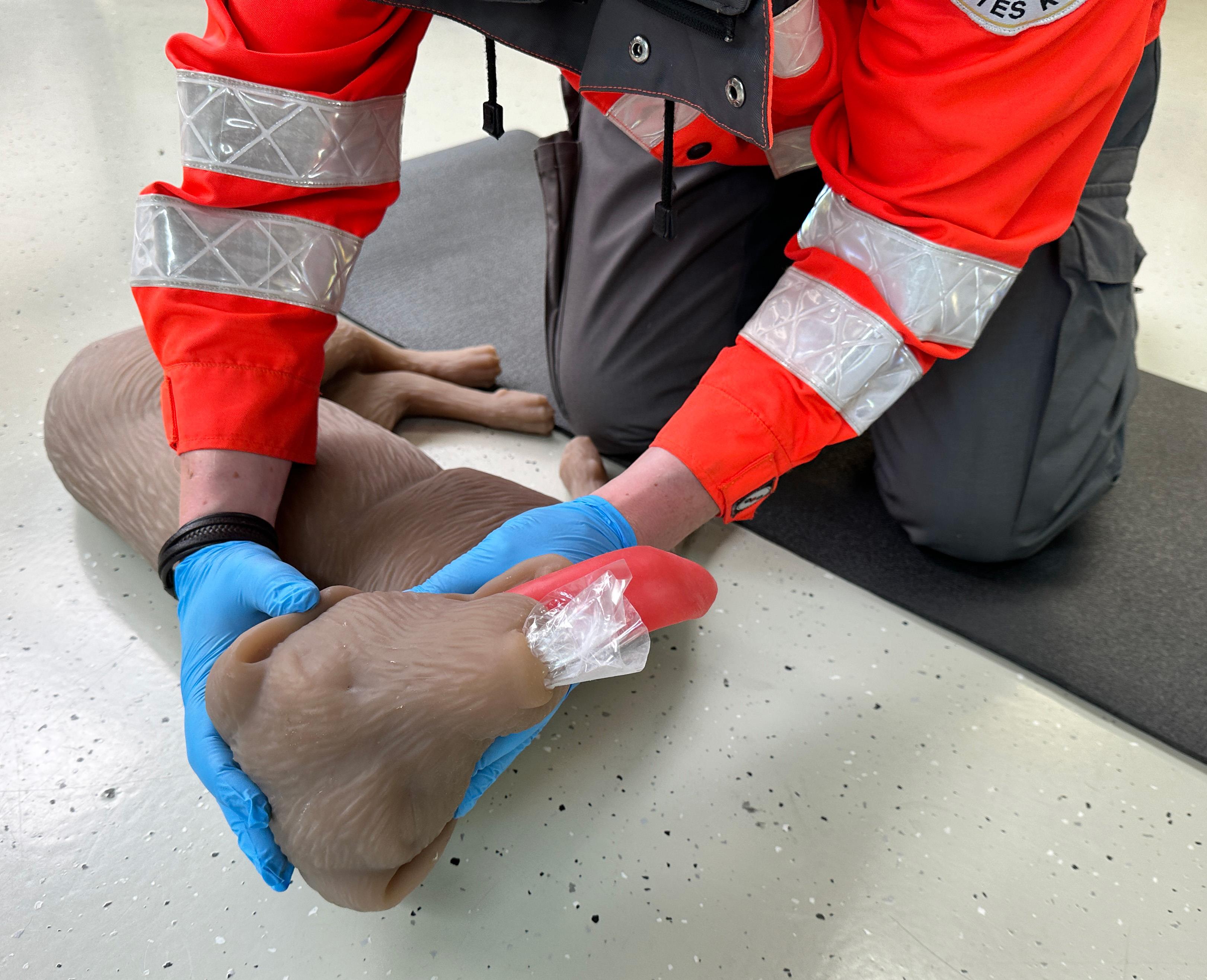 Canine-CPR-Manikin-CooPeR-10