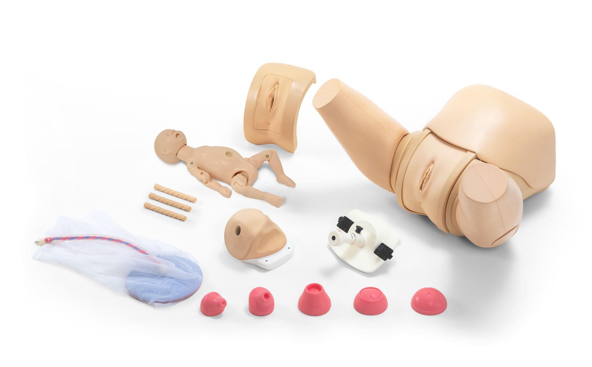 Obstetric-Training-Simulator-Complete-Set