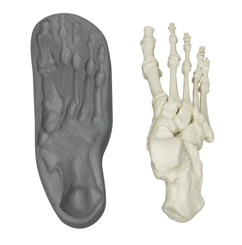 Human Magnetic Foot, right