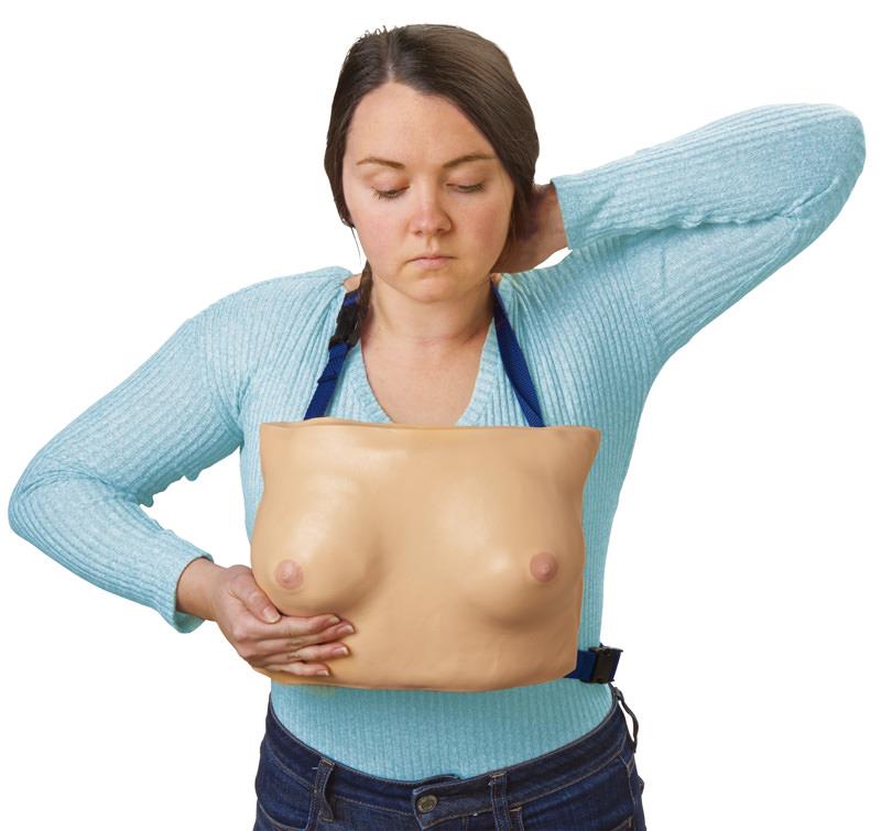 Breast model