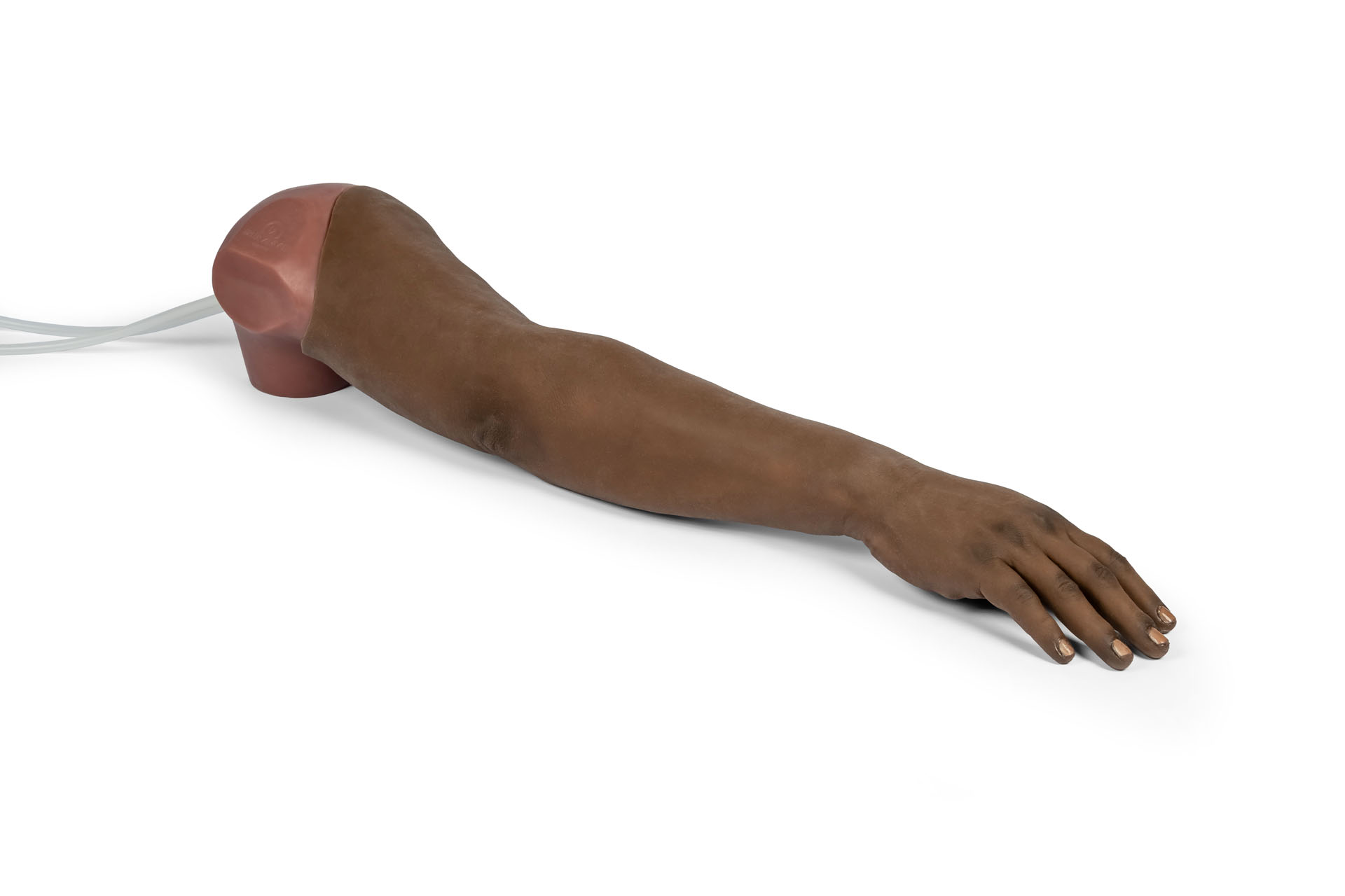 Vue arrière du bras d'entraînement à la perfusion intraveineuse hyperréaliste Puncture Pete, avec une texture de peau réaliste et un raccord pour tuyau.