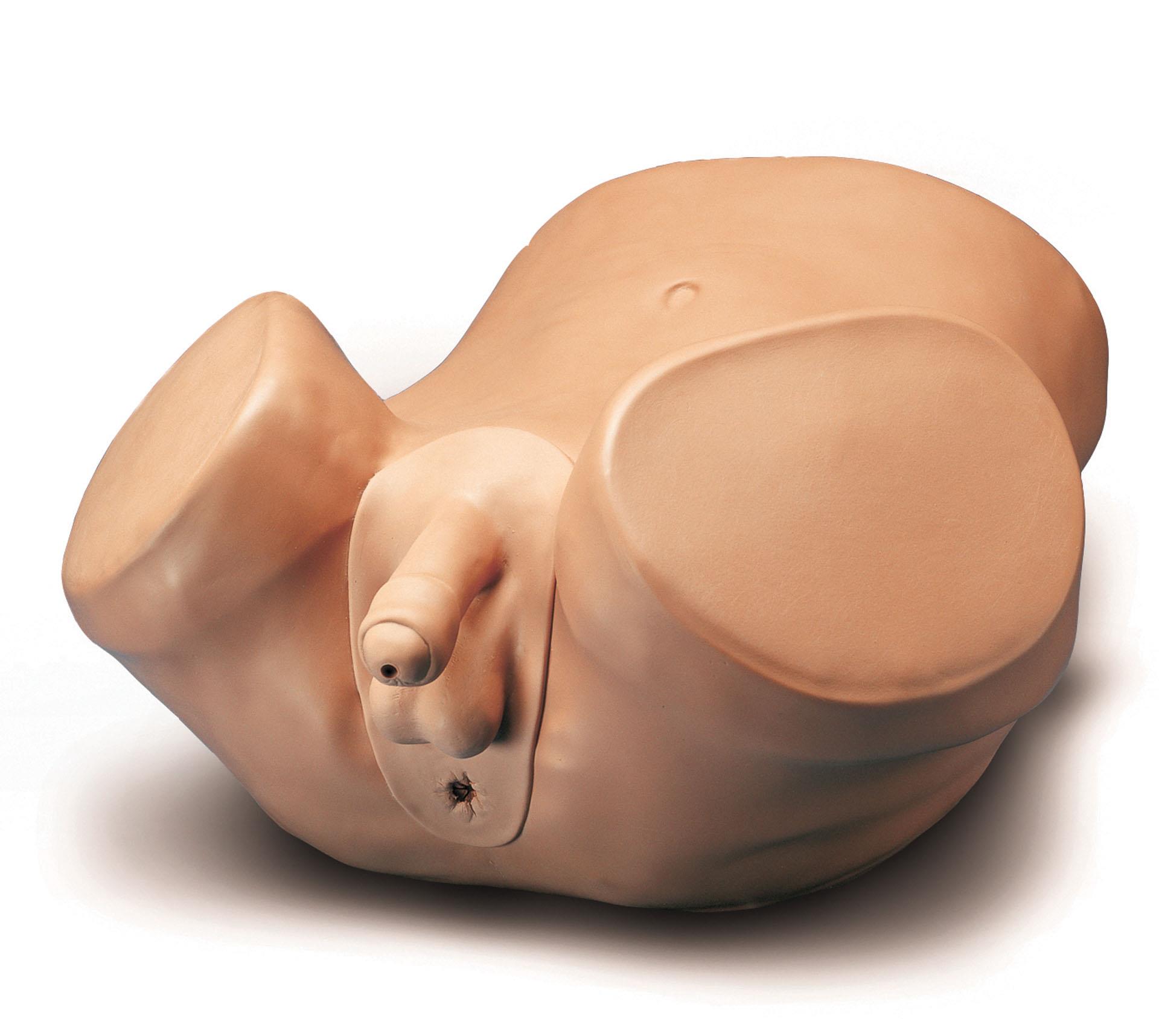 Advanced-Patient-Care-Male-Prostate-Skills-Trainer