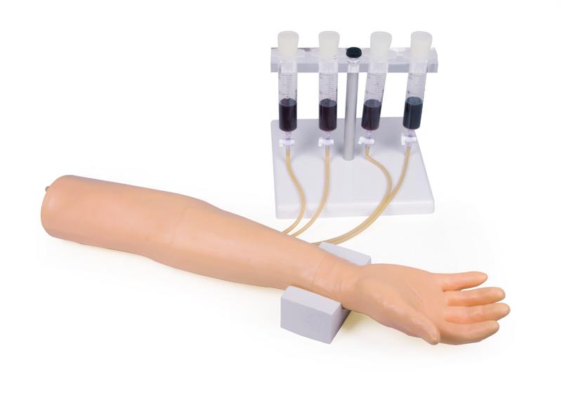 Training arm for intravenous injection and infusion