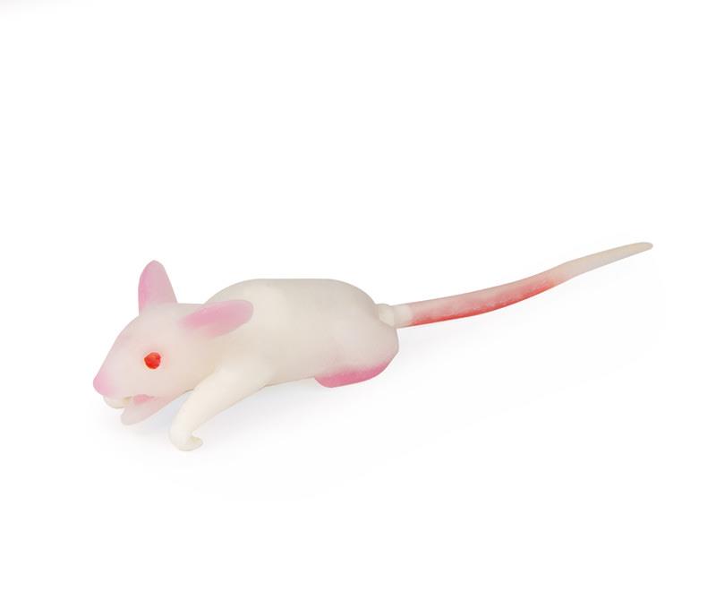 Simulation model mouse
