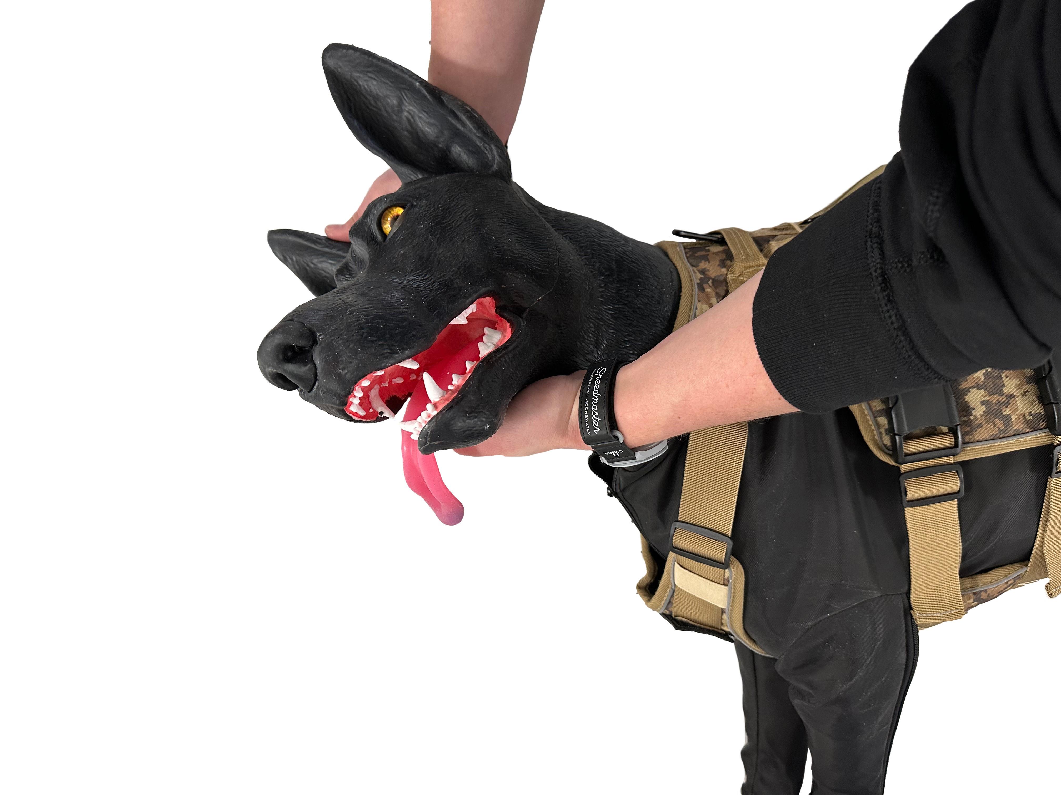 Marshal-Military-Working-Dog-Simulator-MWD-4