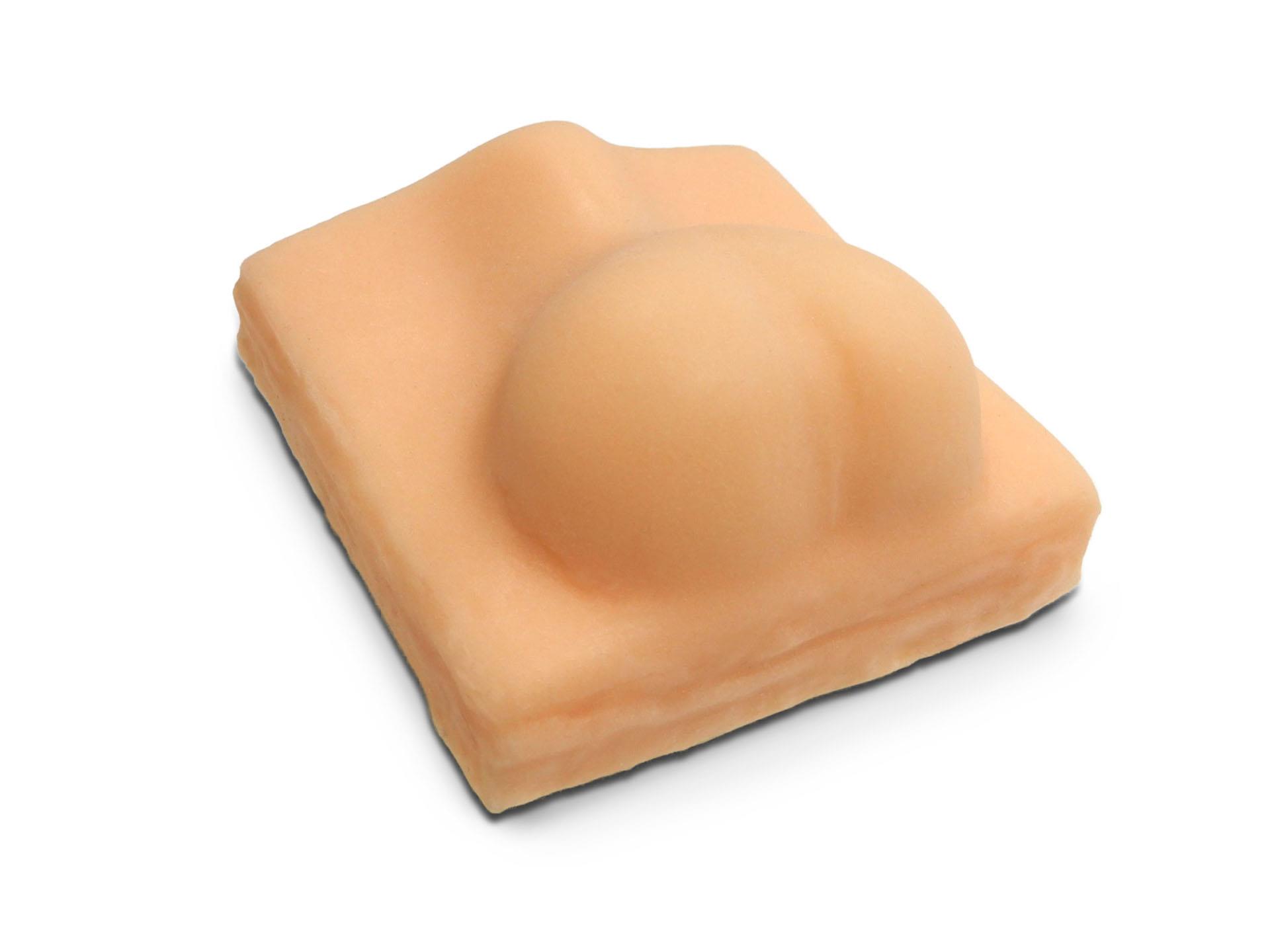 Dogs castration - training model