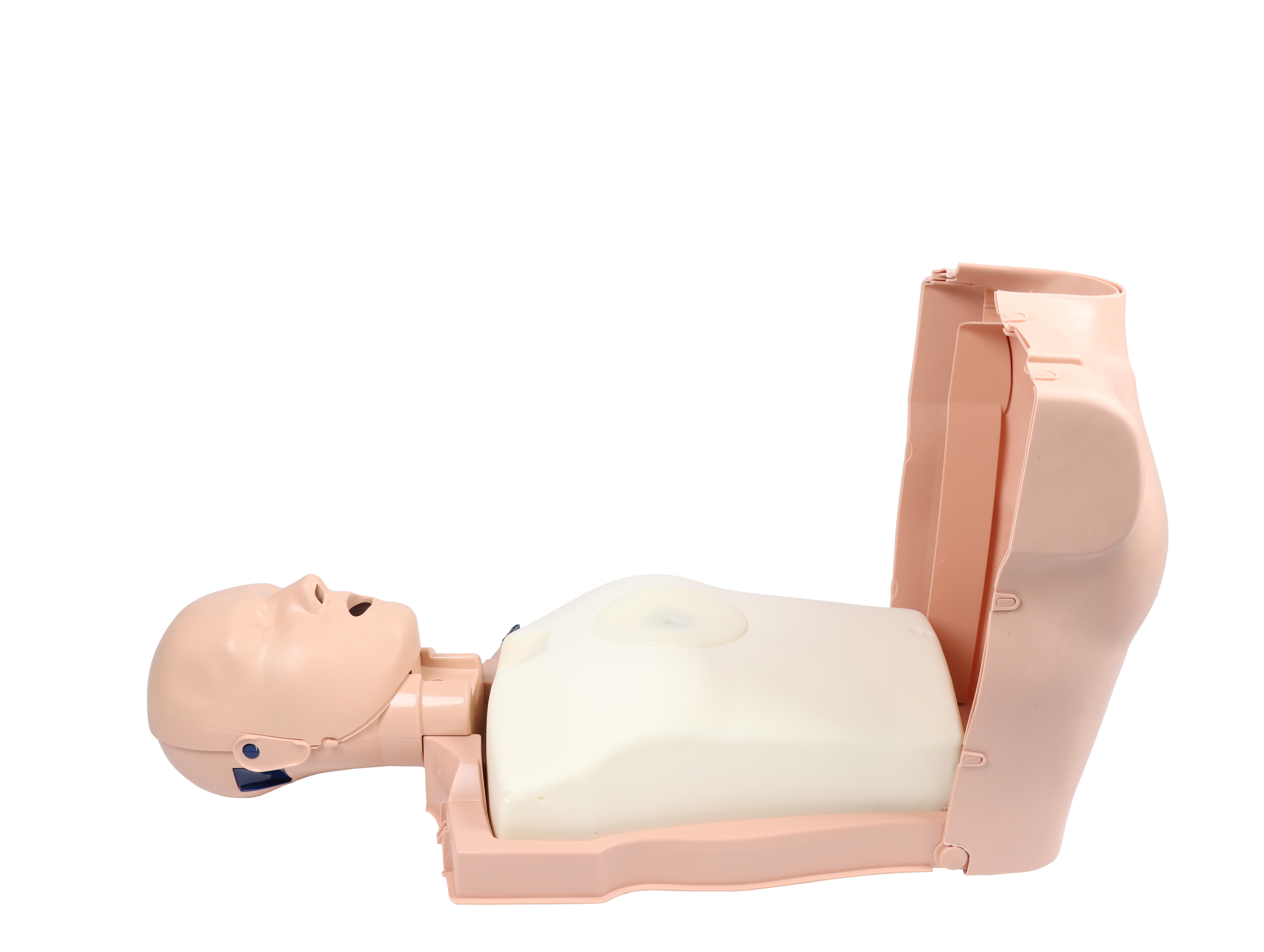 Prestan-Pro+-CPR-Torso-with-indicating-function-2