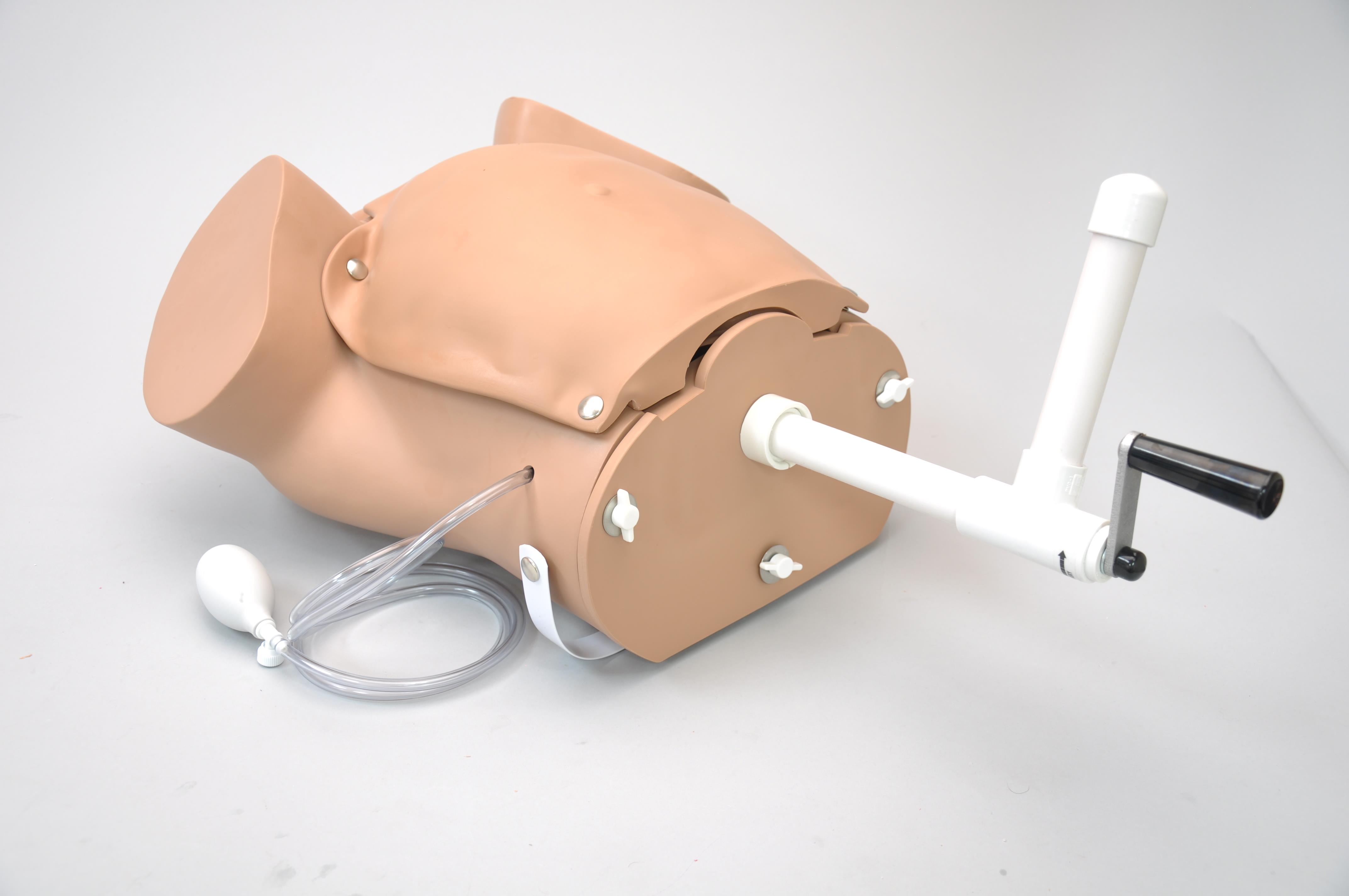 OB-Susie-Advanced-Childbirth-Skills-Trainer-Torso-2