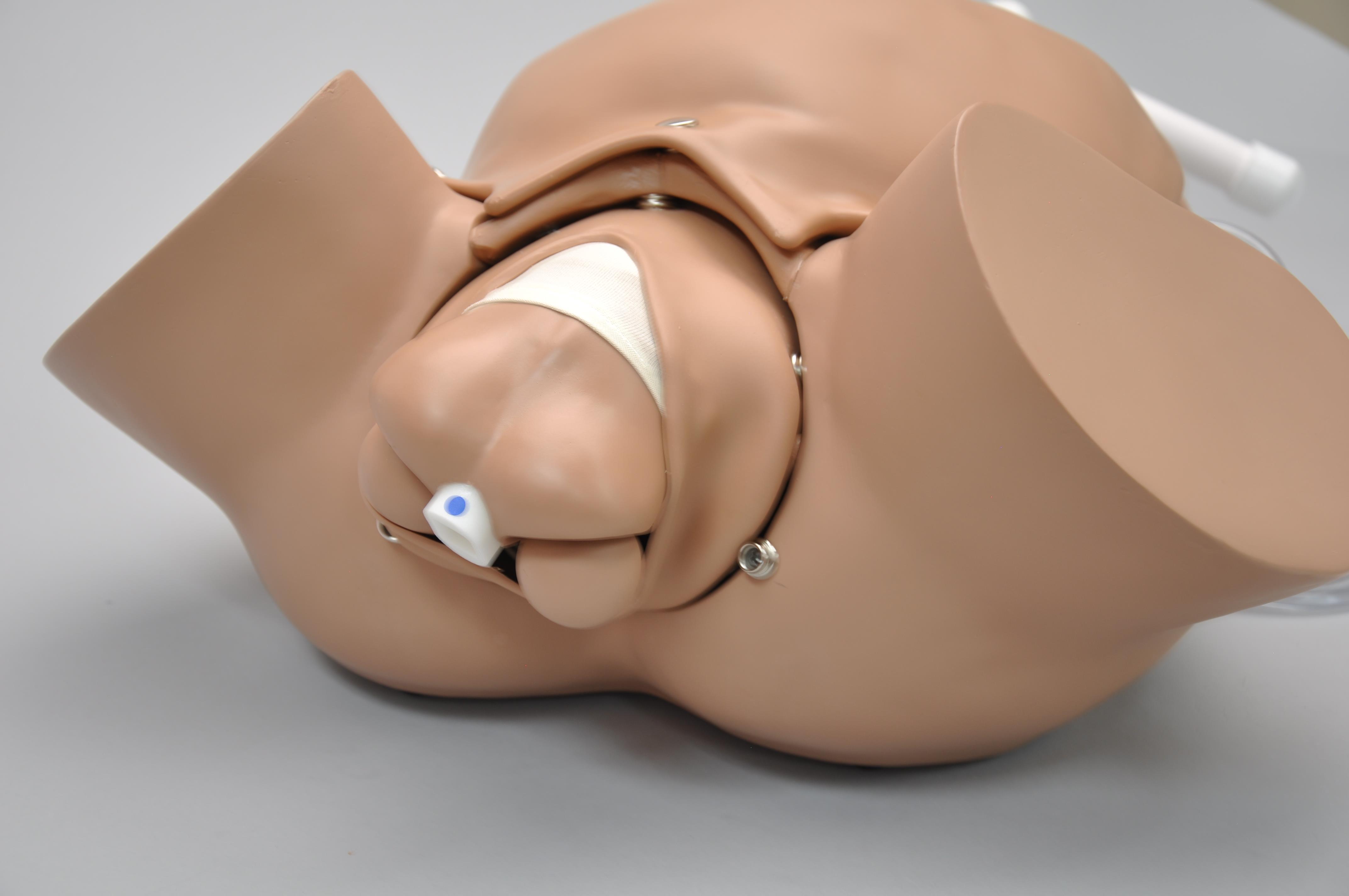 OB-Susie-Advanced-Childbirth-Skills-Trainer-Torso-3