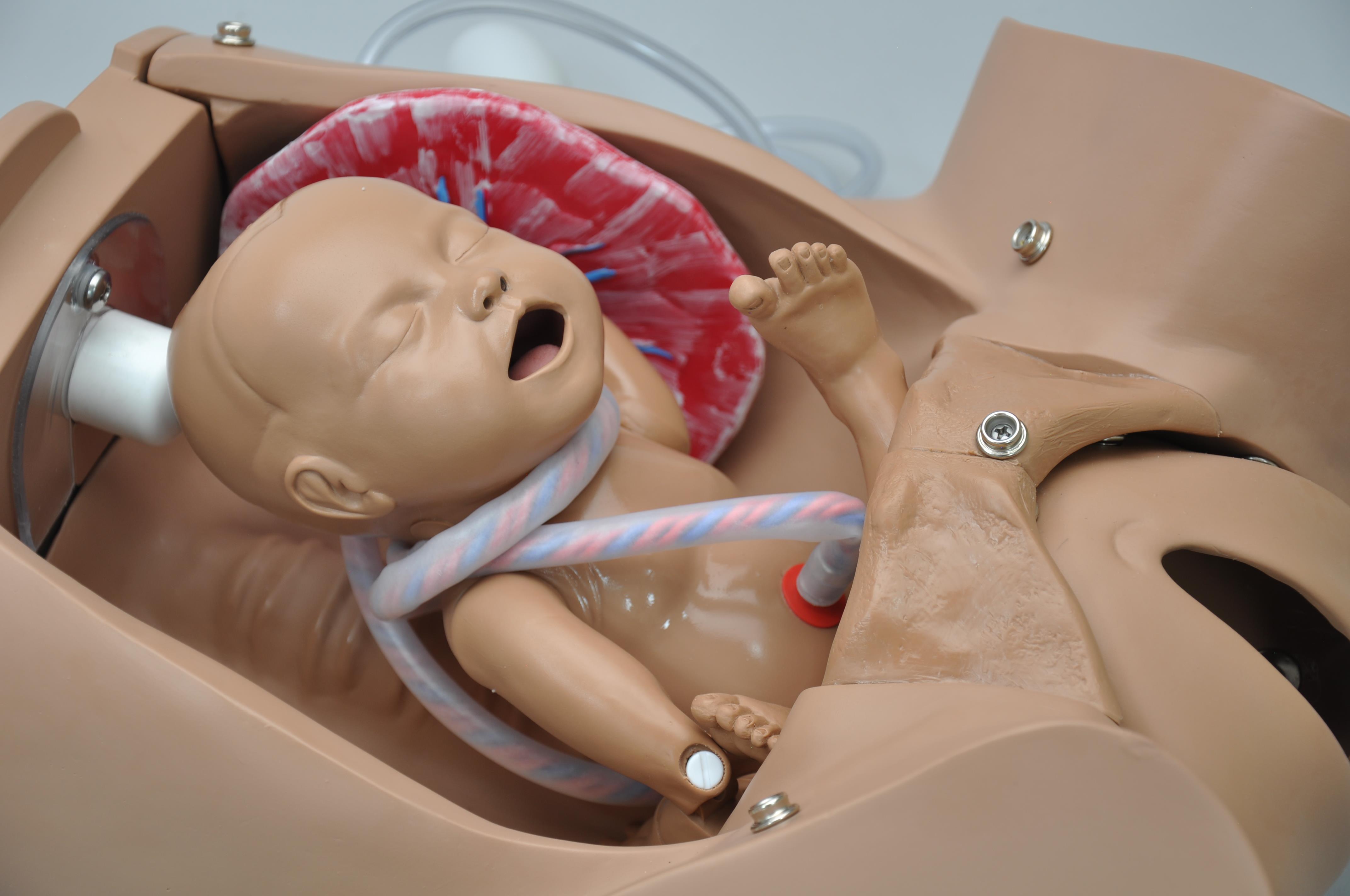 OB-Susie-Advanced-Childbirth-Skills-Trainer-Torso-6