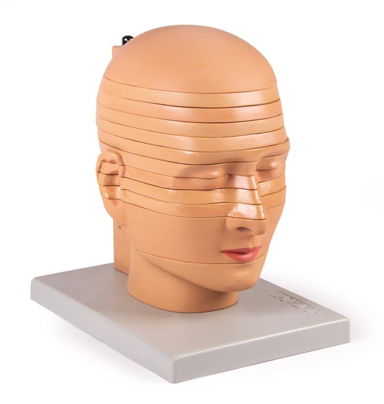 Disc Head Model