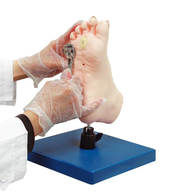 Übungsmodell medizinische Fußpflege