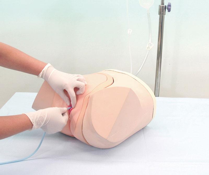 Catheterization/Enema Simulator, female Version