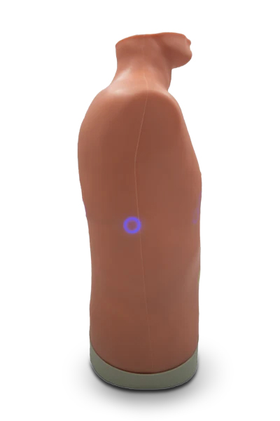 Auscultation Trainer 2.0 propulsé par SmartScope 2.0
