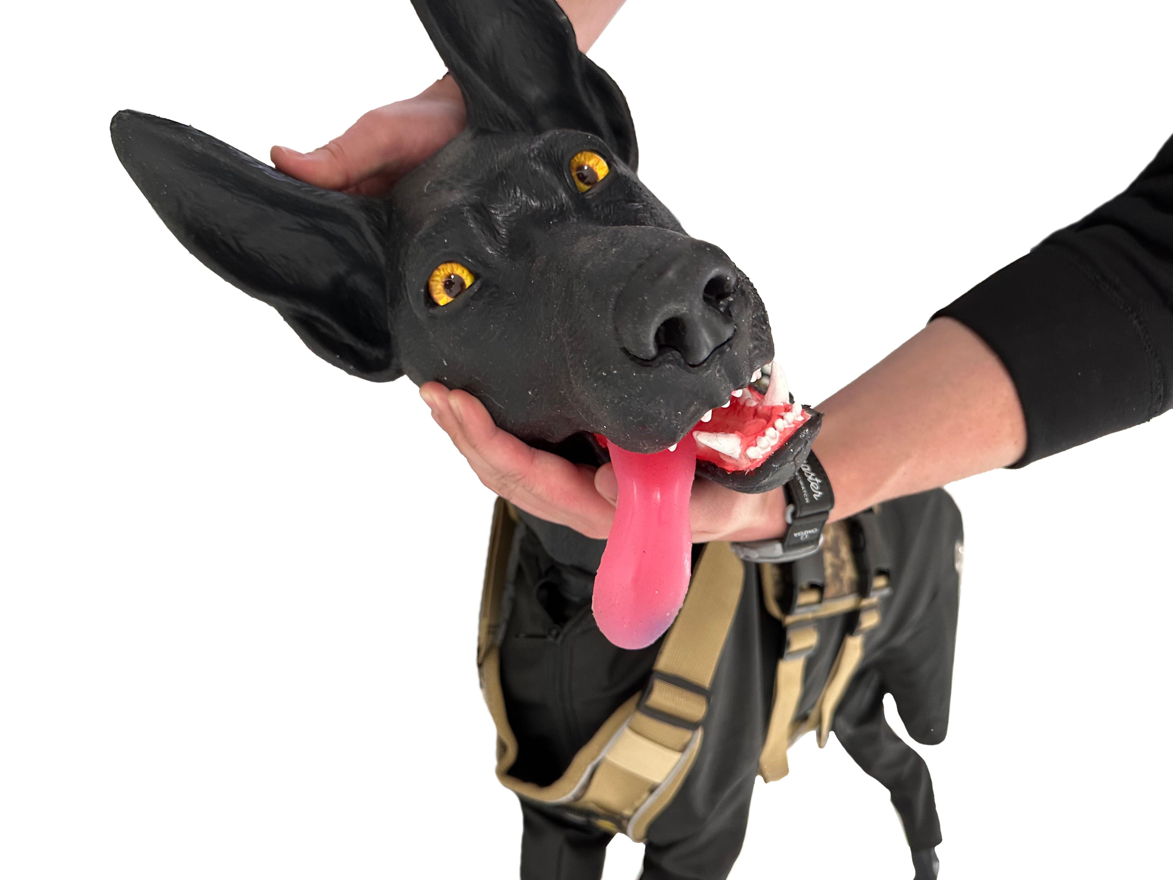 Marshal-Military-Working-Dog-Simulator-MWD-5