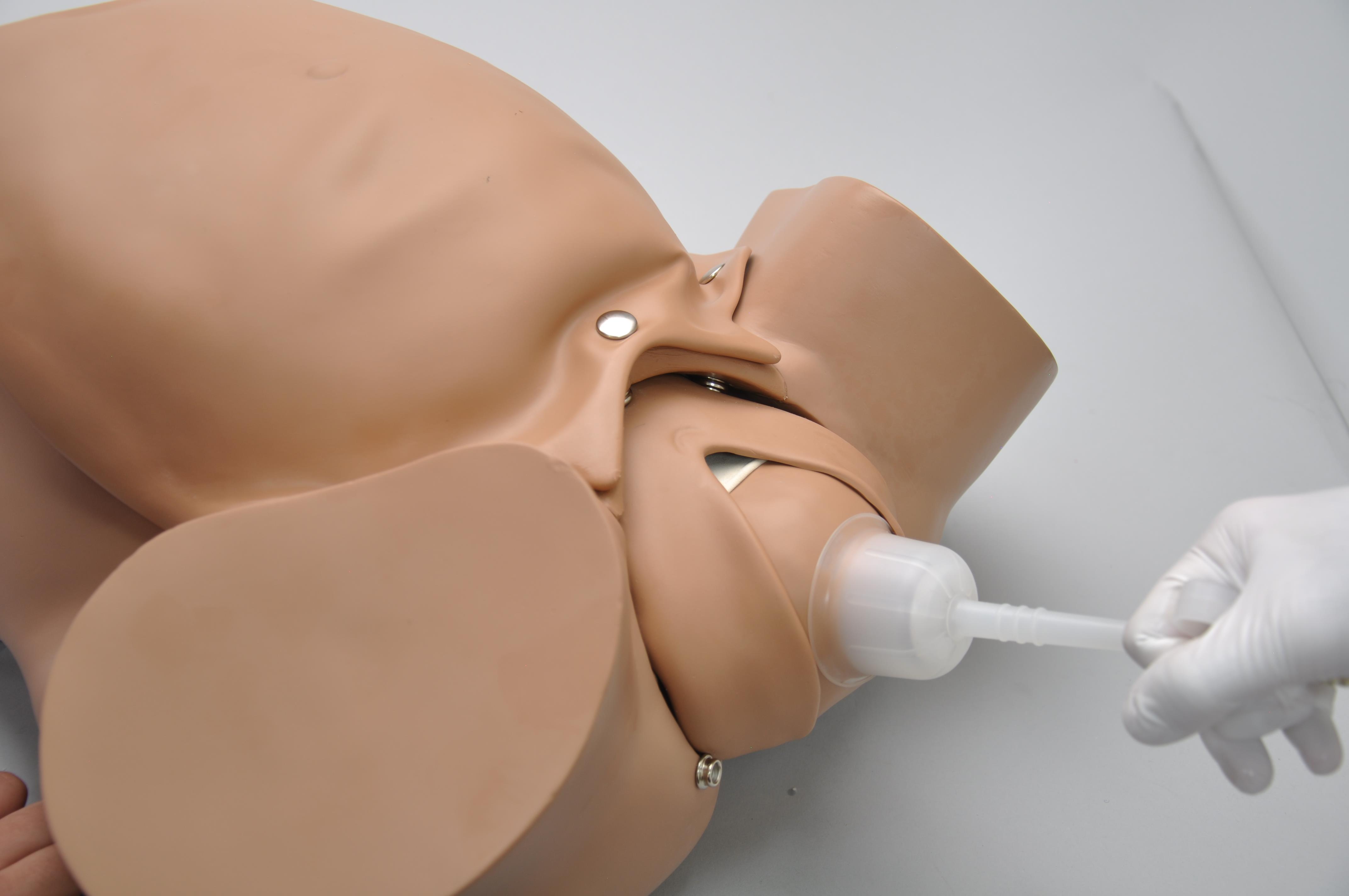 OB-Susie-Advanced-Childbirth-Skills-Trainer-Torso-5