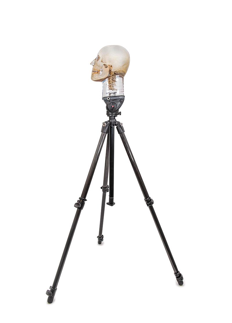 Tripod for x-ray phantom head