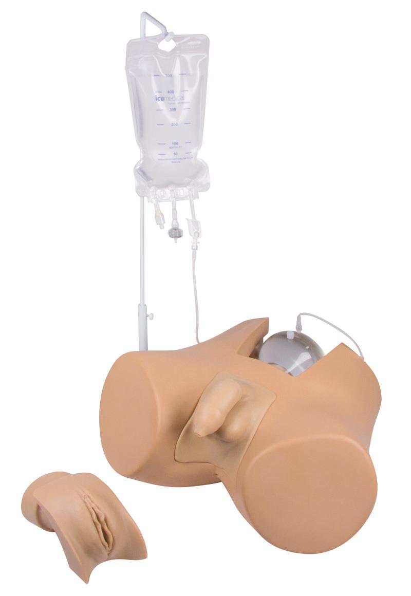Catheterization trainer with male genital insert „Henri“ and female genital insert „Florence“
