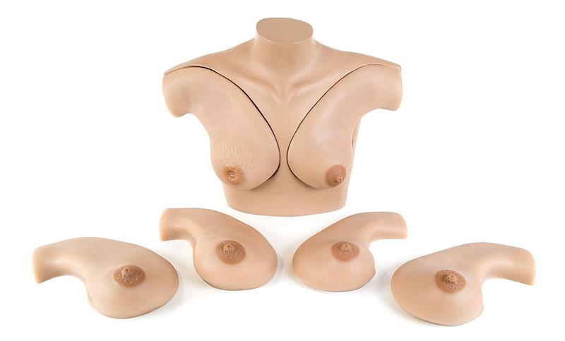 Breast Palpation Simulator for Clinical Teaching