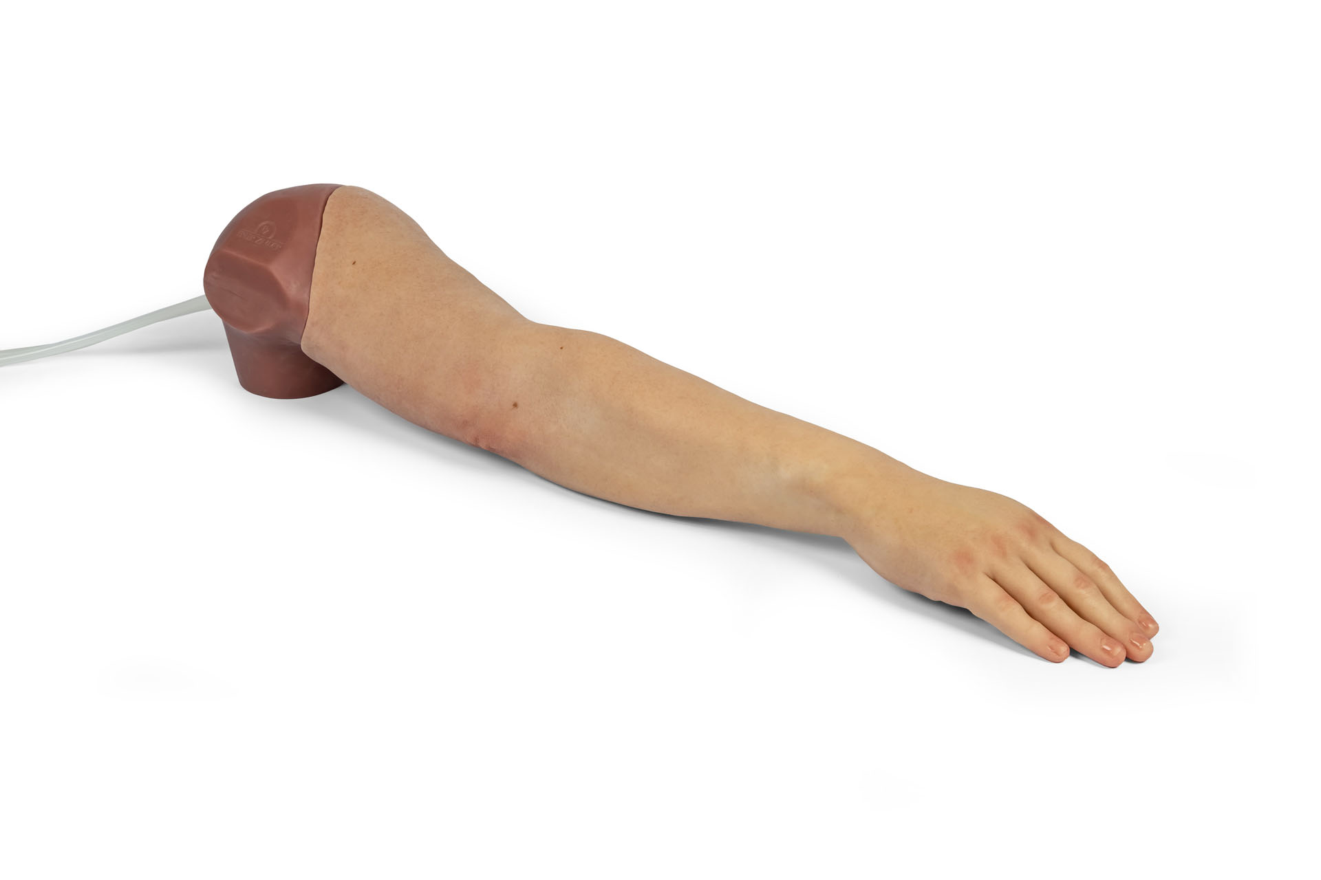 Vue arrière du bras d'entraînement à la perfusion intraveineuse hyperréaliste Puncture Pete, avec une texture de peau réaliste et un raccord pour tuyau.