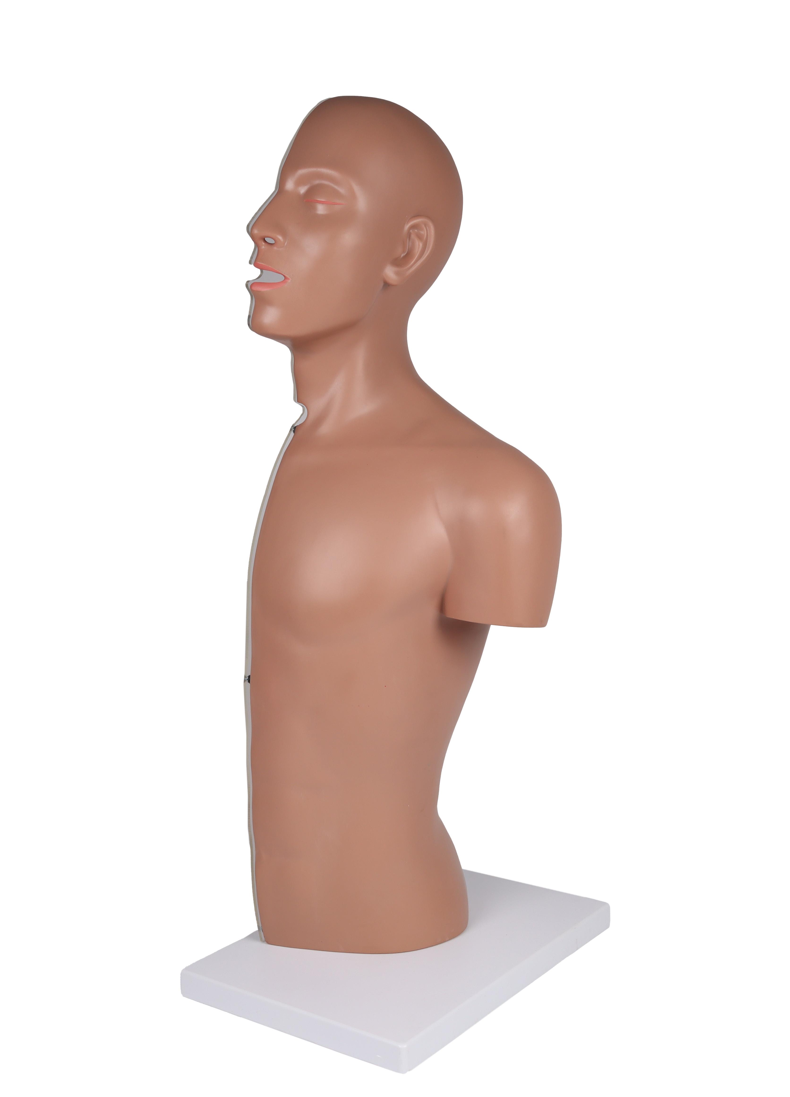 NG-&-Tracheostomie-Torso-lebensgroß-2