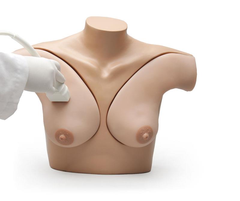 Breast Phantom Simulator