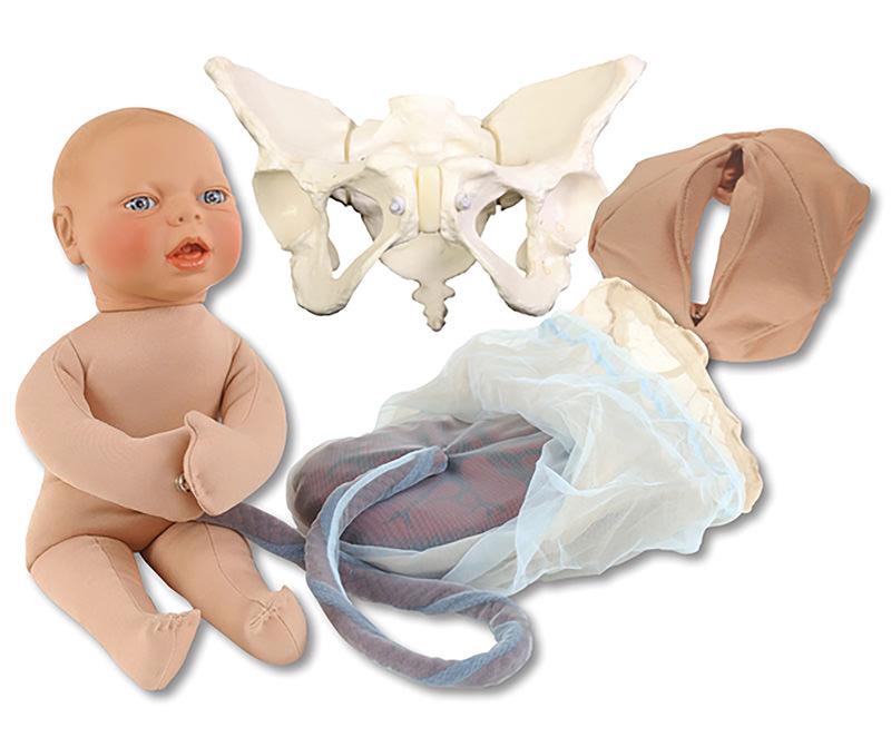 Deluxe Childbirth Model Set