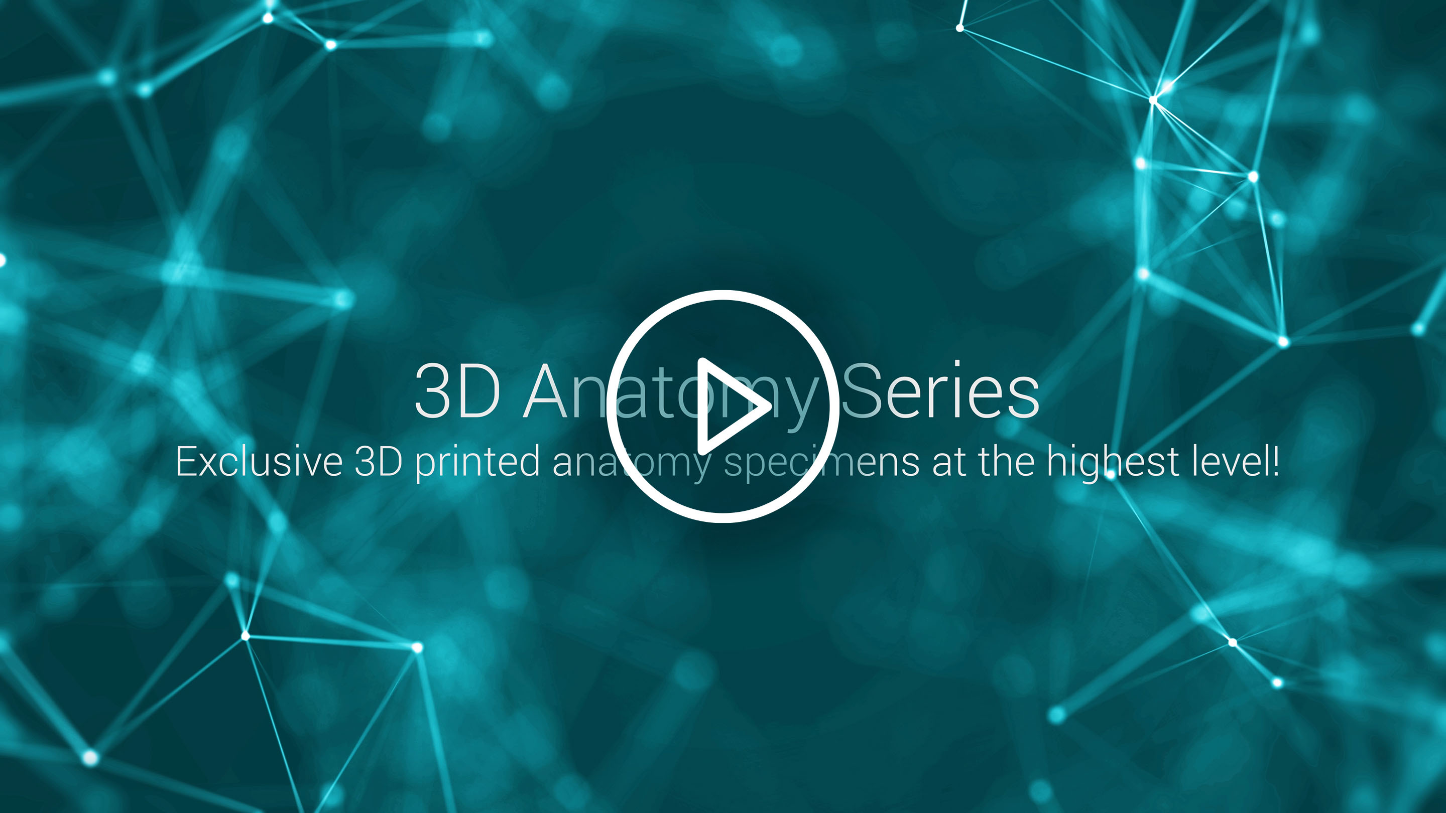 Image-Video-3D Anatomy Series