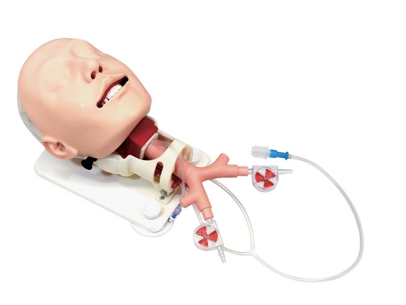 Demonstration Model Difficult Airway Management