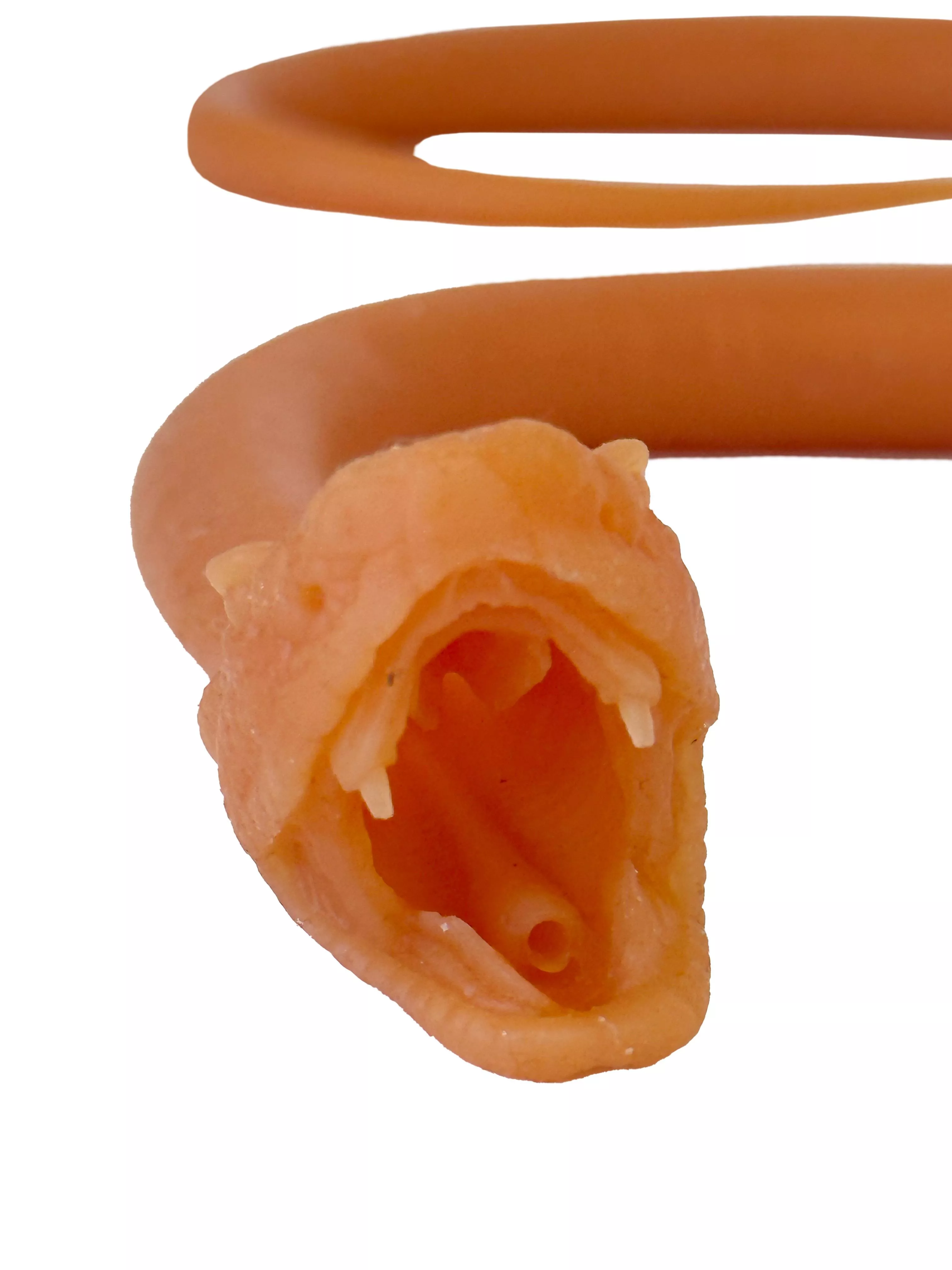 Endotracheale-Intubation-der-Schlange-3