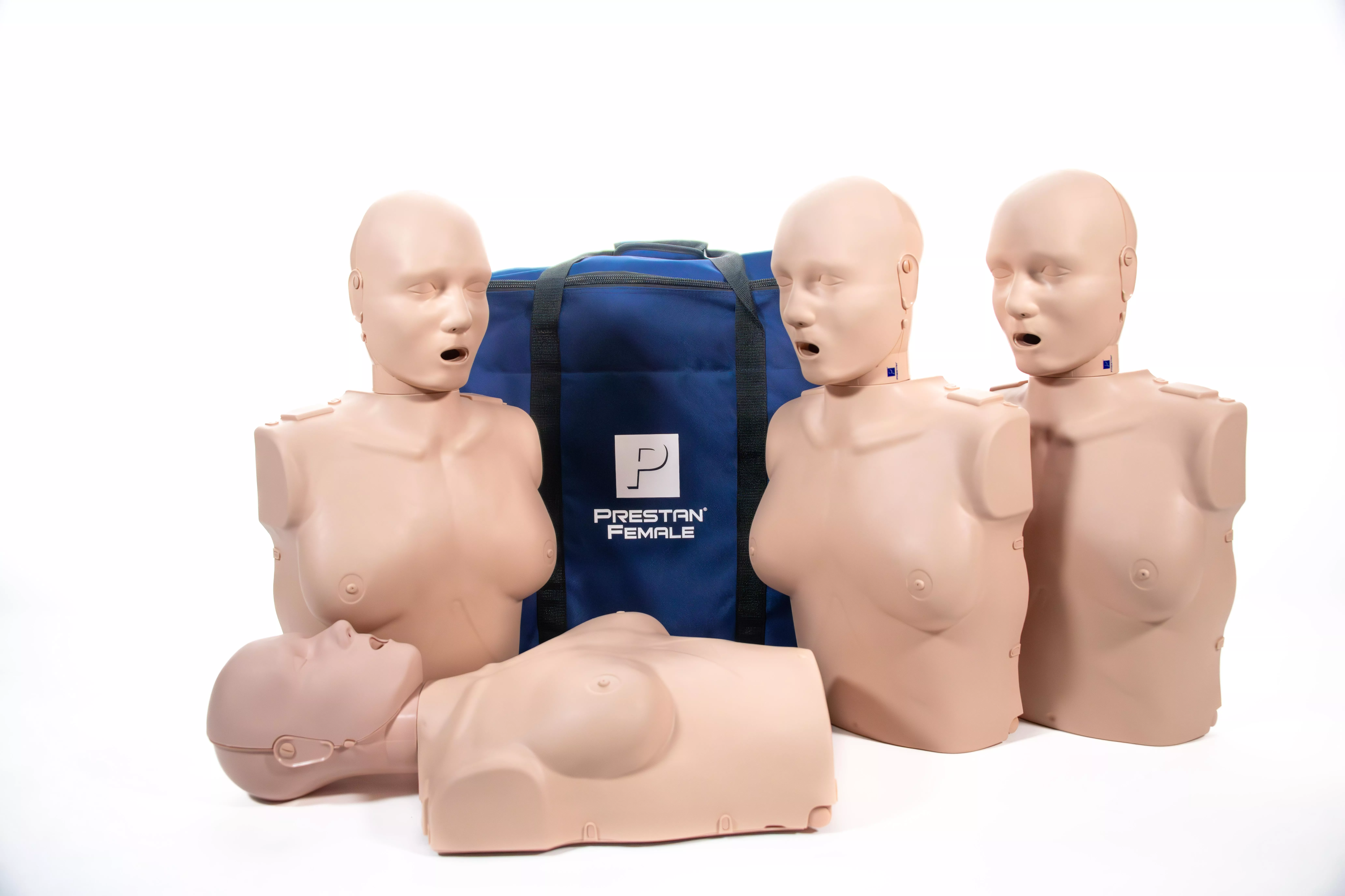 Prestan-HLW-Torso-weiblich-mit-Leuchtanzeige-4er-Pack-1