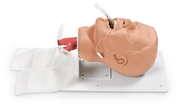 Economy Adult Airway Management Trainer with Board