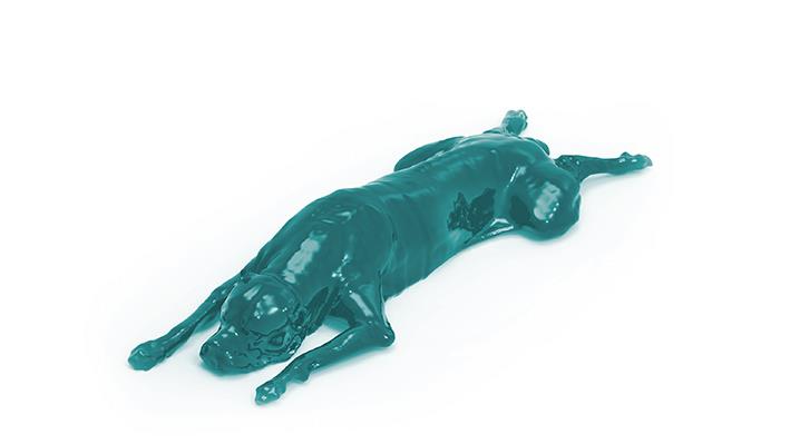 Dog-phantom-for-CT-and-X-ray