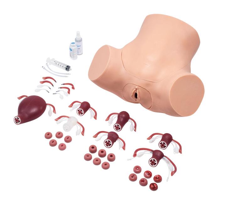 ZOE Gynecological Skills Trainer