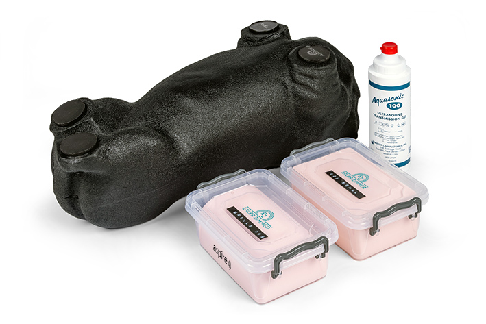 Hunde Ultraschalltrainingssimulator "Lillie"