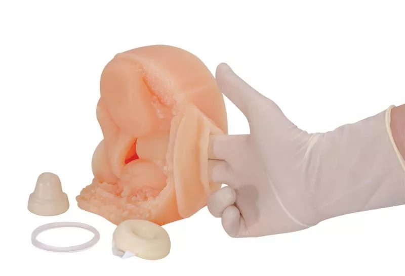 Female Contraceptive Model