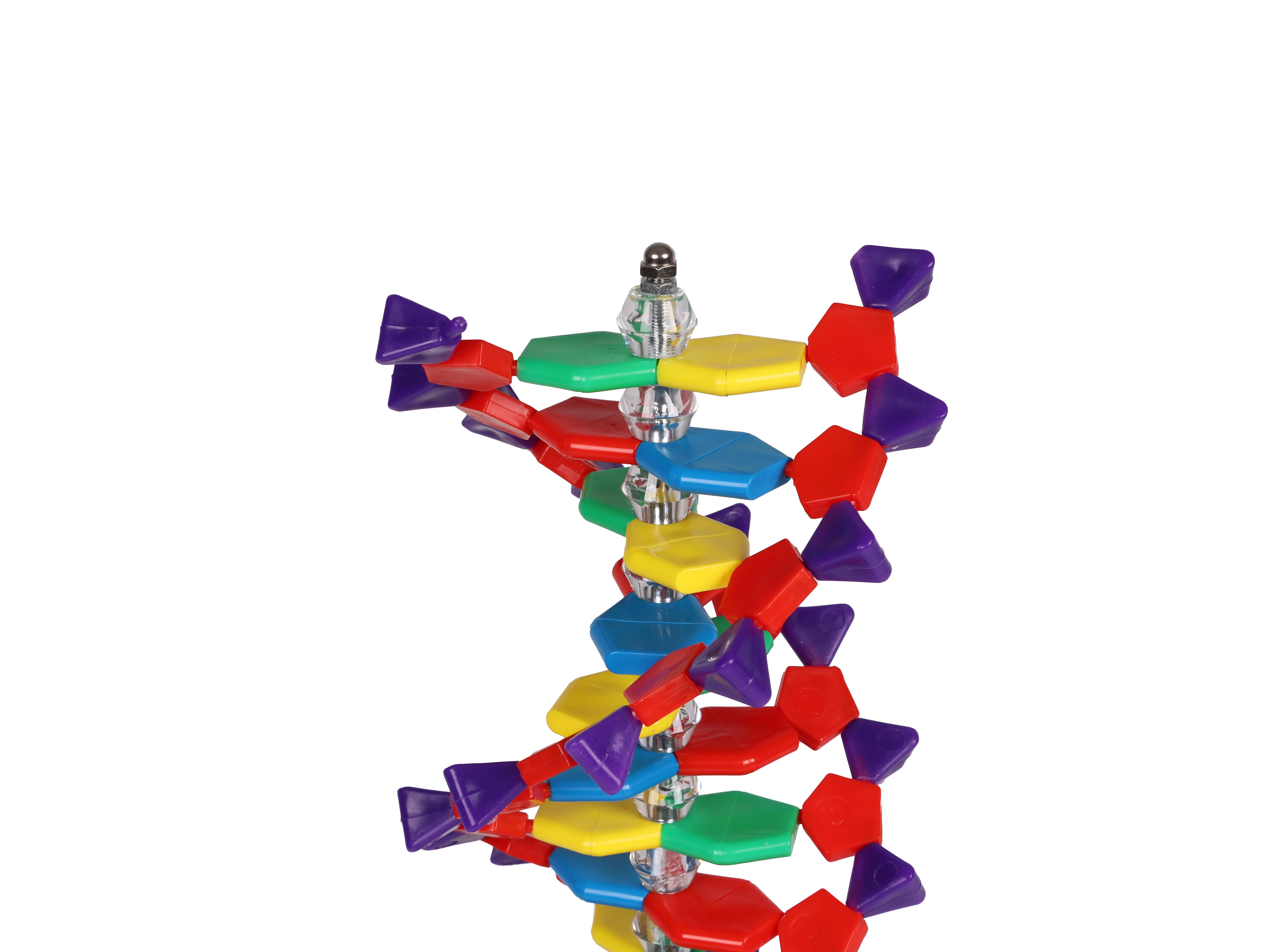 DNA-double-helix-3