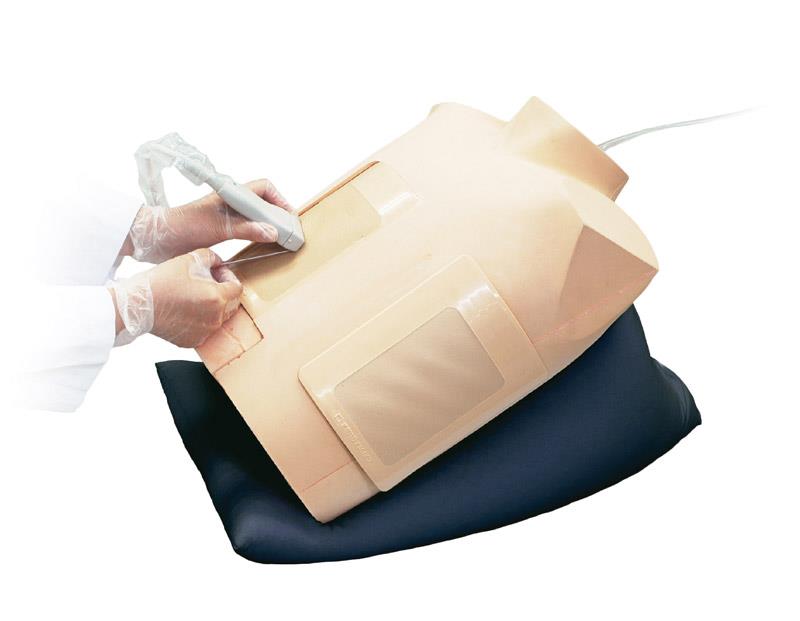 Ultrasound-Guided Thoracentesis / Pericardiocentesis Simulator