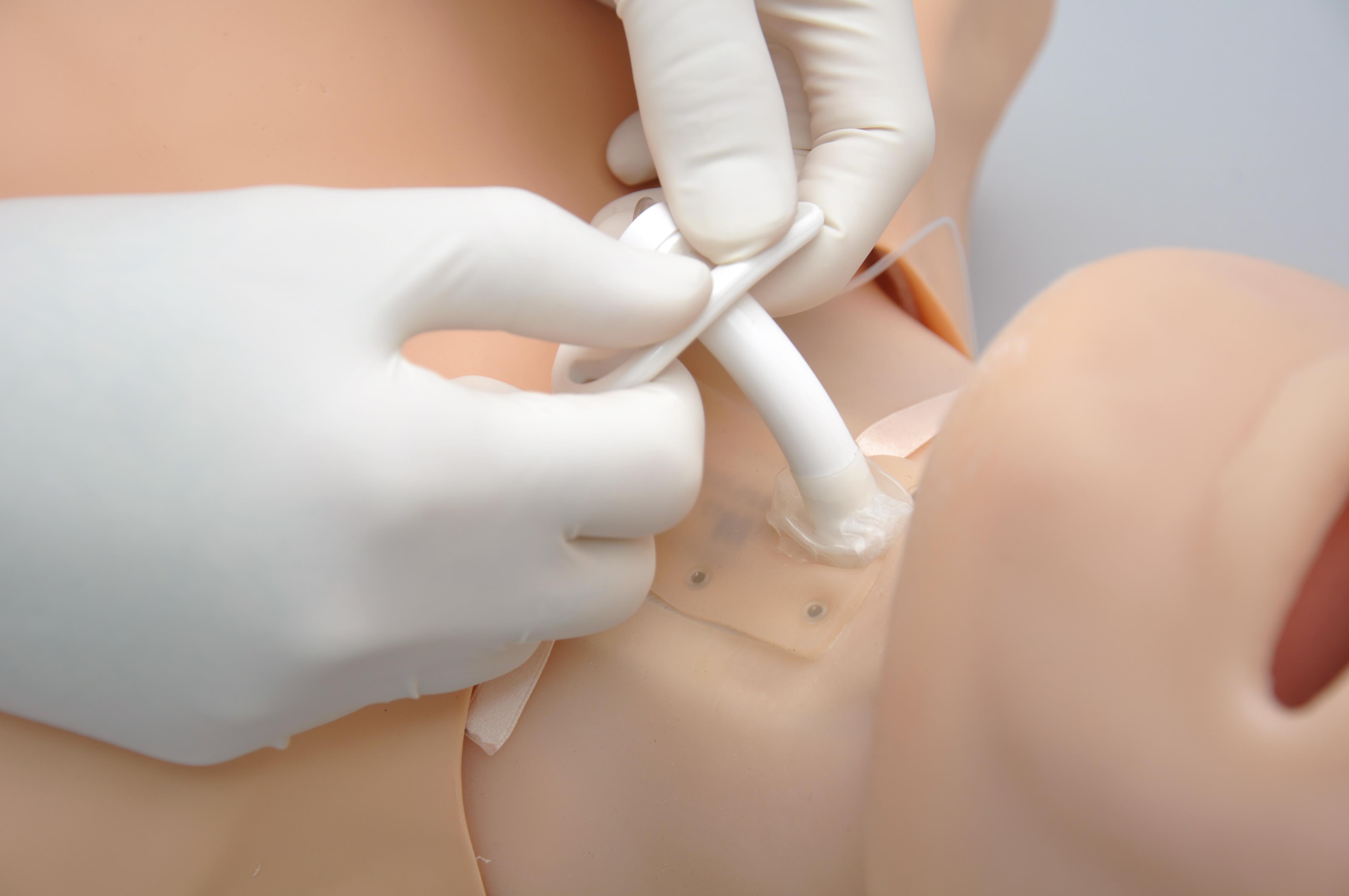 HAL-Adult-Multipurpose-Airway-and-CPR-Trainer-7