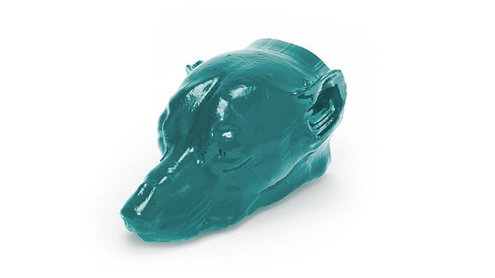 Dog-head-Phantom-for-CT-and-X-ray