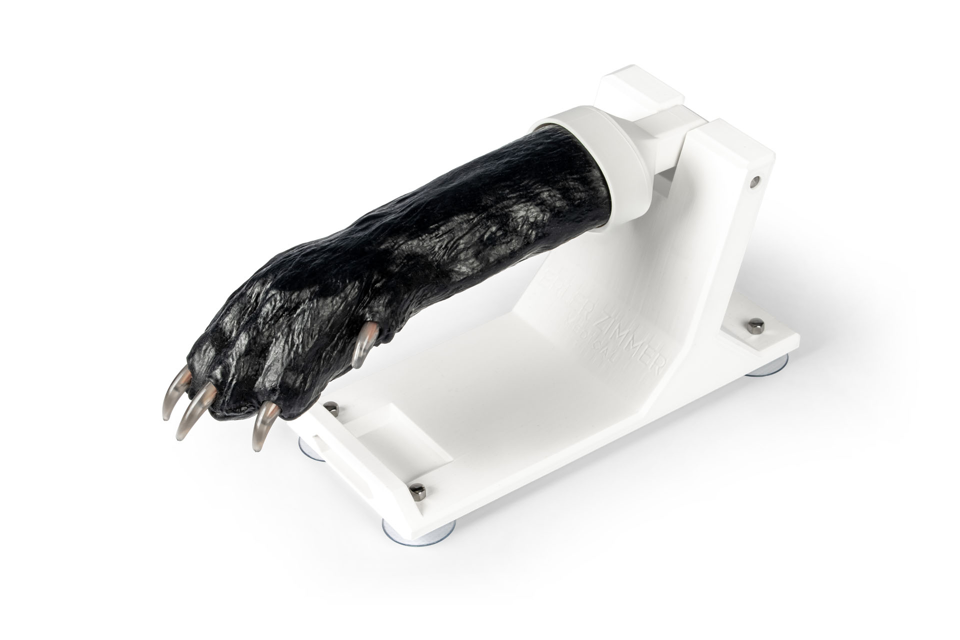 Patte de chien pour tailler les griffes