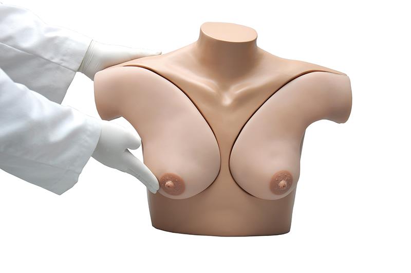 Übungsmodell Brustuntersuchung