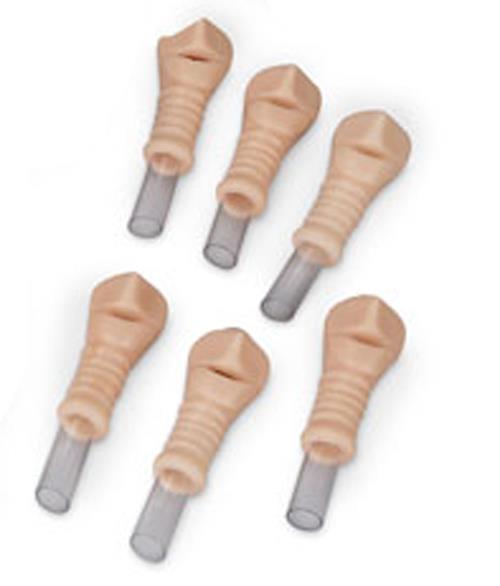Replacement Trachea Set Adult (6 pcs) for R10723