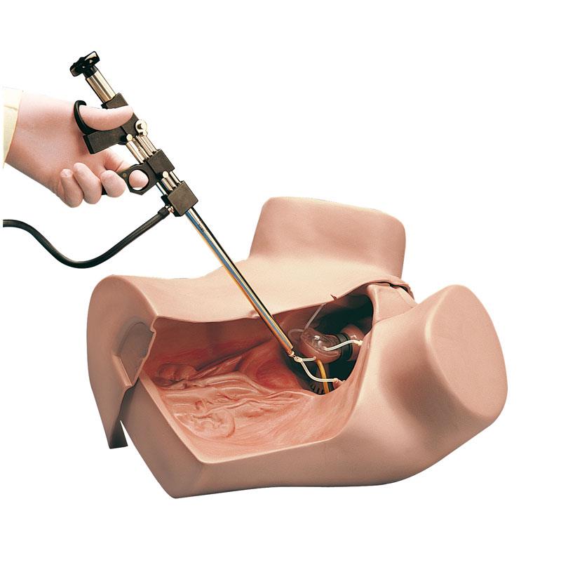 Gynäkologischer-Simulator