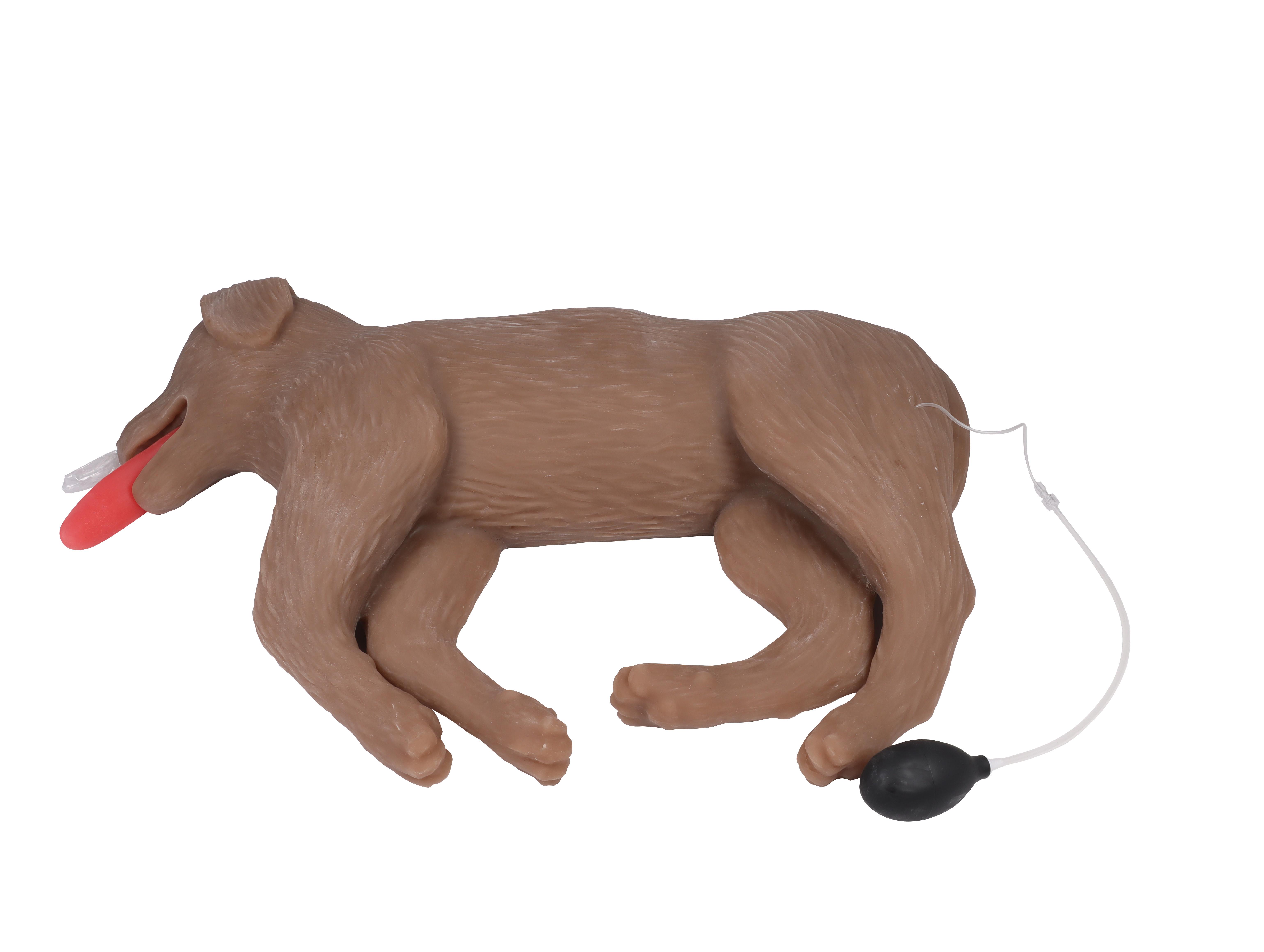 Canine-CPR-Manikin-CooPeR